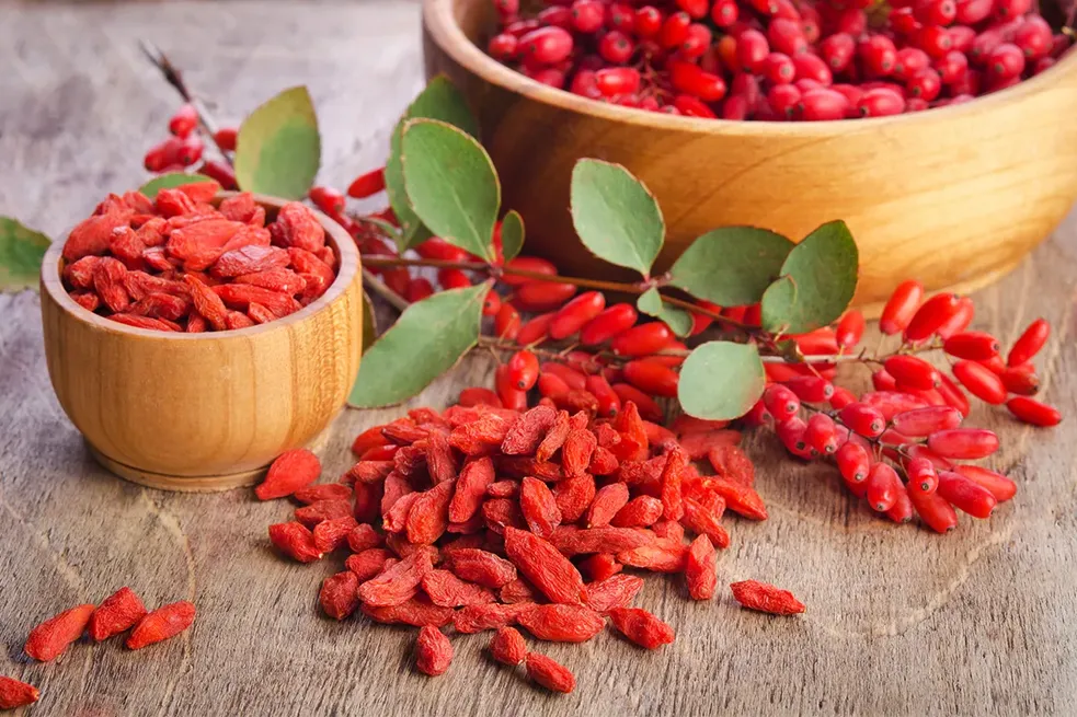 Antioxidant-rich botanicals of the kind traditionally used to support the mind